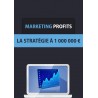 Marketing Profits